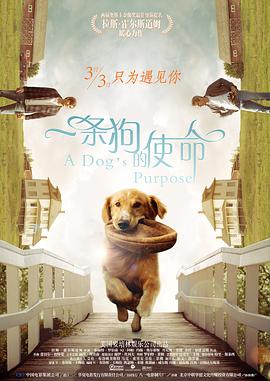 色偷偷91综合久久噜噜app